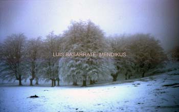 Mendikus_013